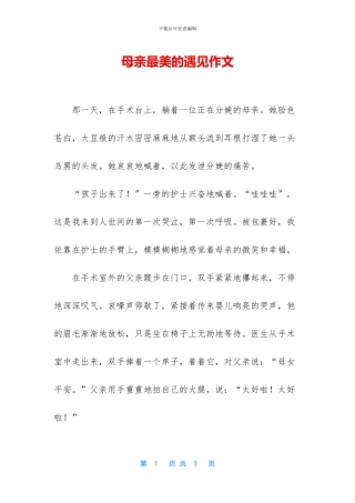 母亲最美的遇见作文