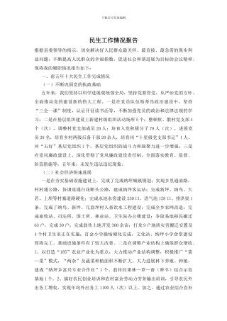 民生工作情况报告