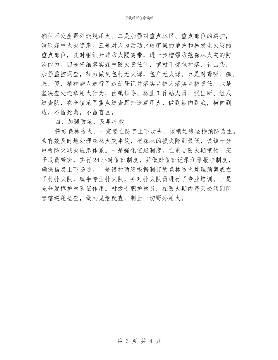 水保局森林防火督查报告_第3页