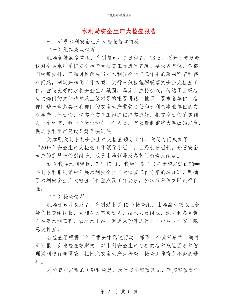 水利局安全生产大检查报告_第2页