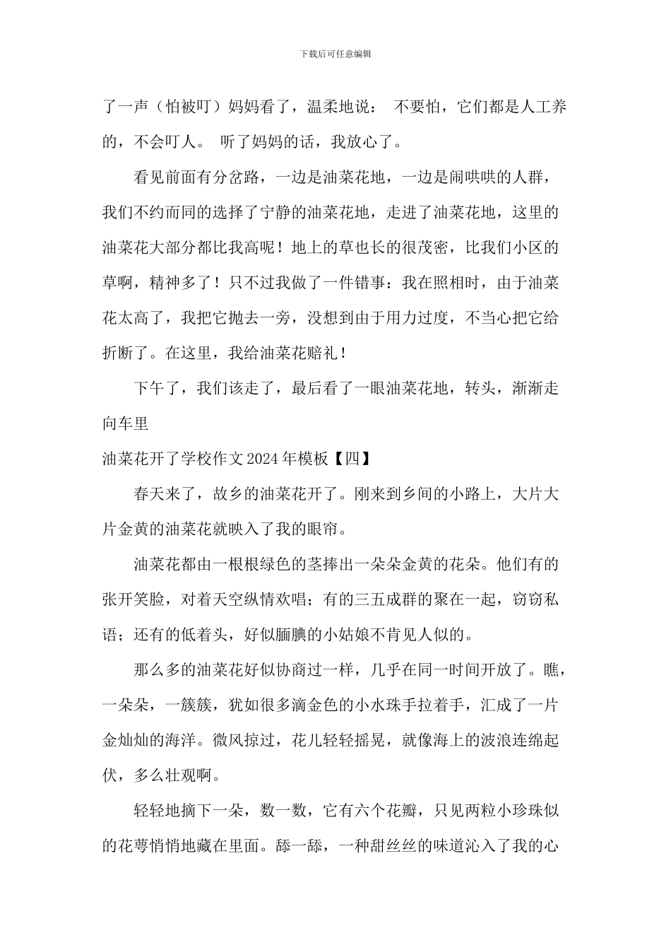 油菜花开了小学作文2024年模板_第3页