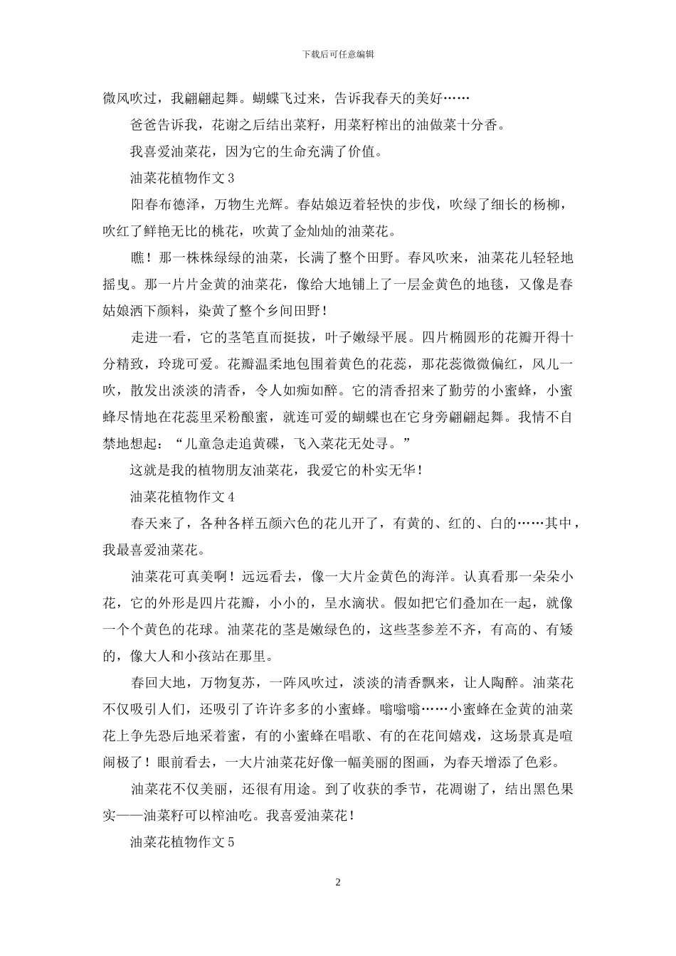 油菜花植物作文15篇_第2页