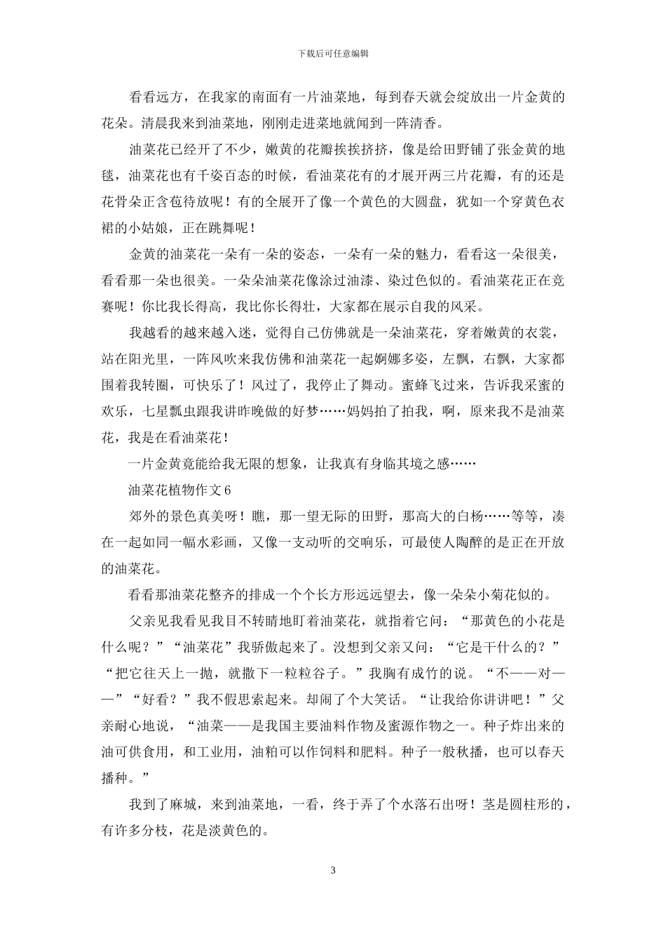 油菜花植物作文15篇_第3页