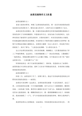油菜花植物作文15篇