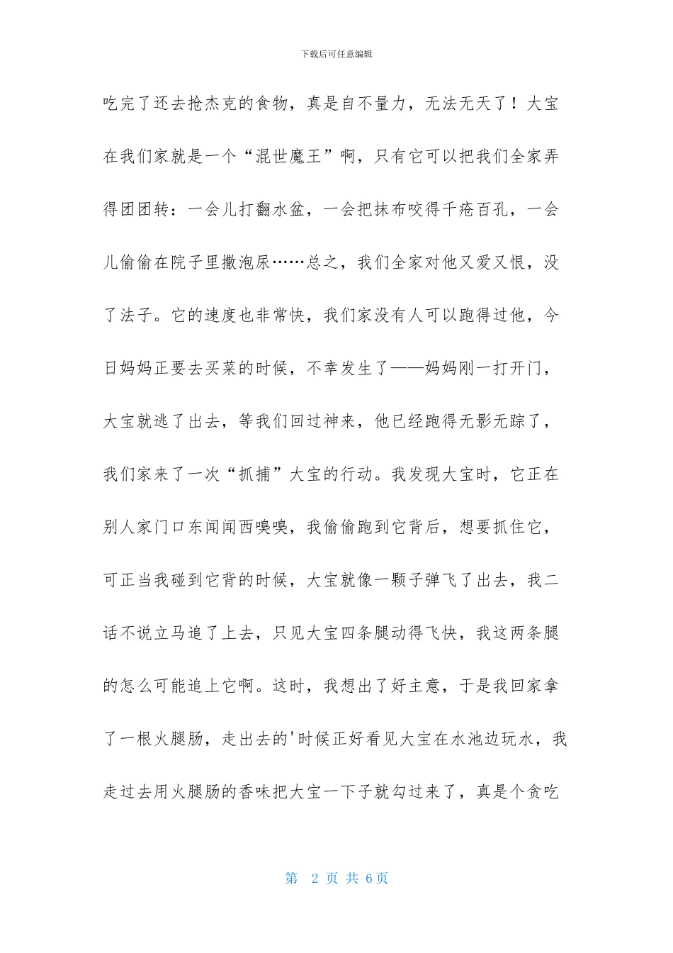 泰迪狗作文三篇_第2页