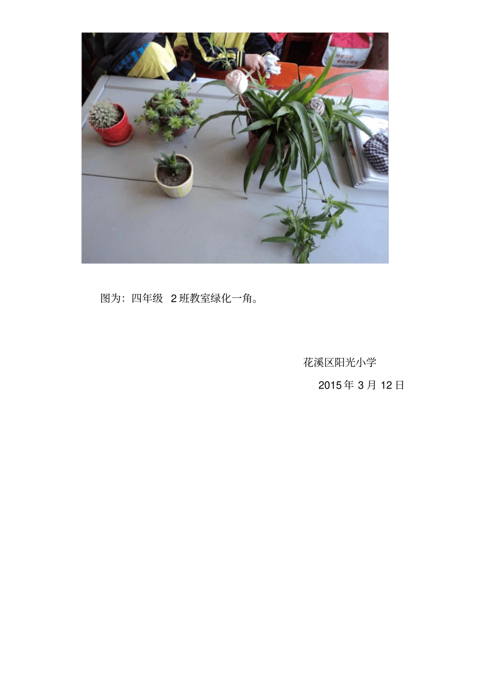 阳光小学养花护花活动简报_第3页