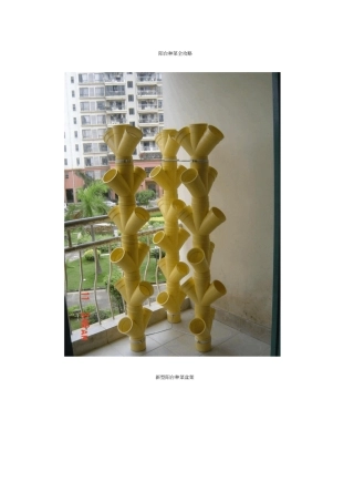 阳台种菜全攻略