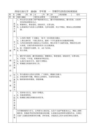 阶段目标规划表