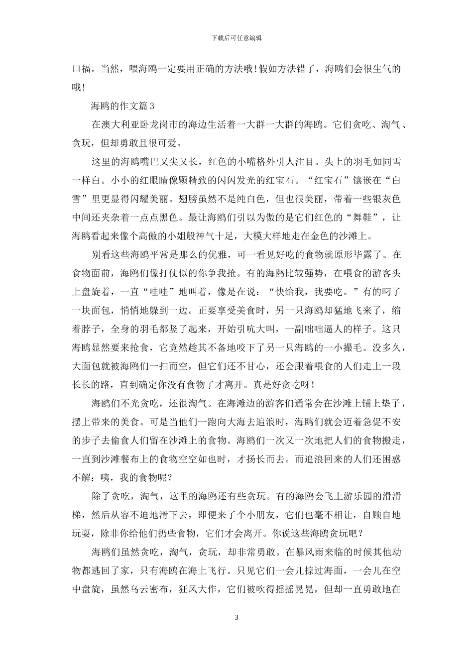 海鸥的作文汇编9篇_第3页