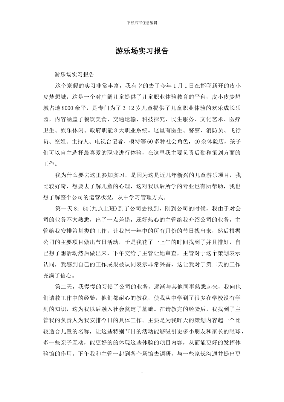 游乐场实习报告_第1页