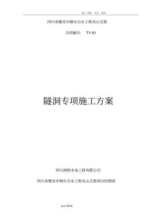 隧洞专项工程施工组织方案