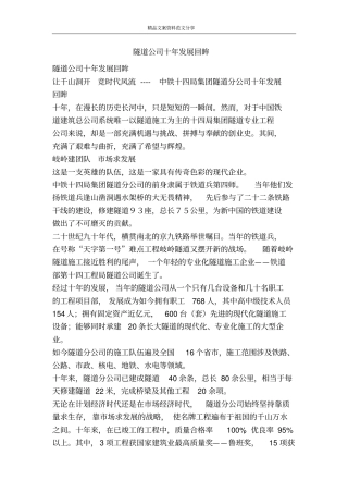 隧道公司十年发展回眸-精品文案范文