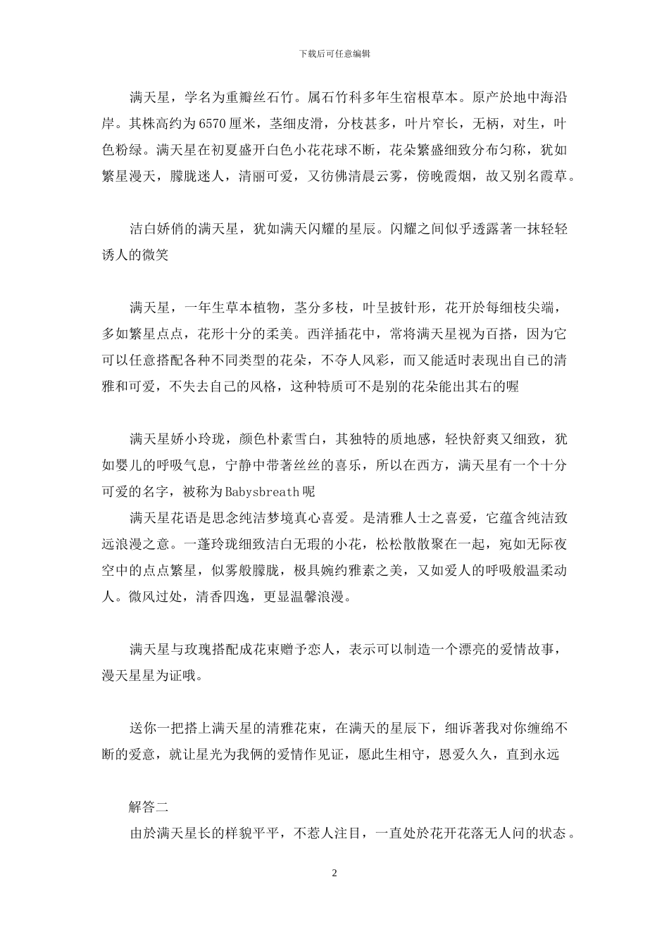 满天星花语和寓意_第2页