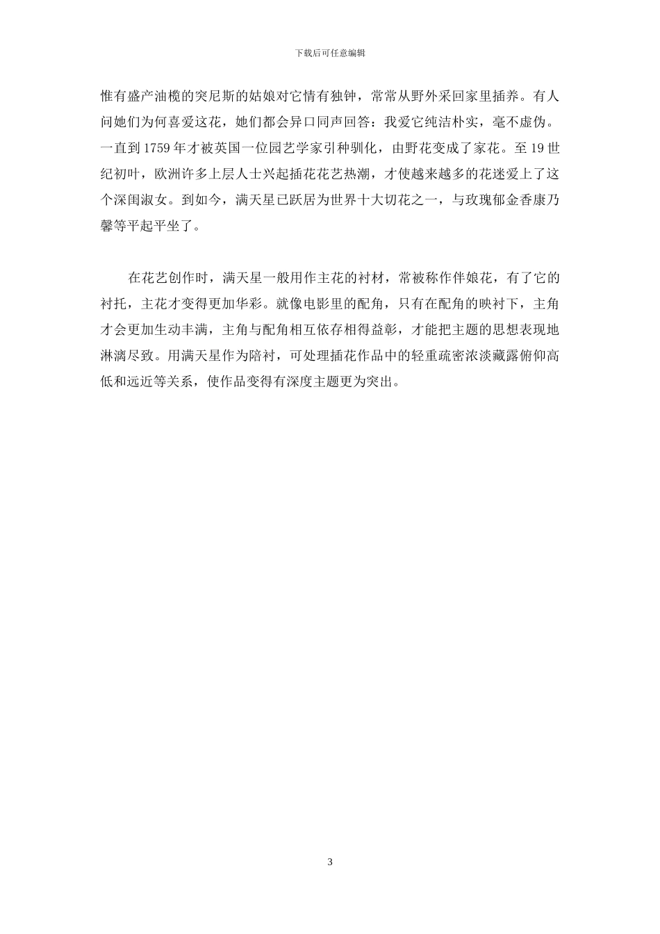 满天星花语和寓意_第3页