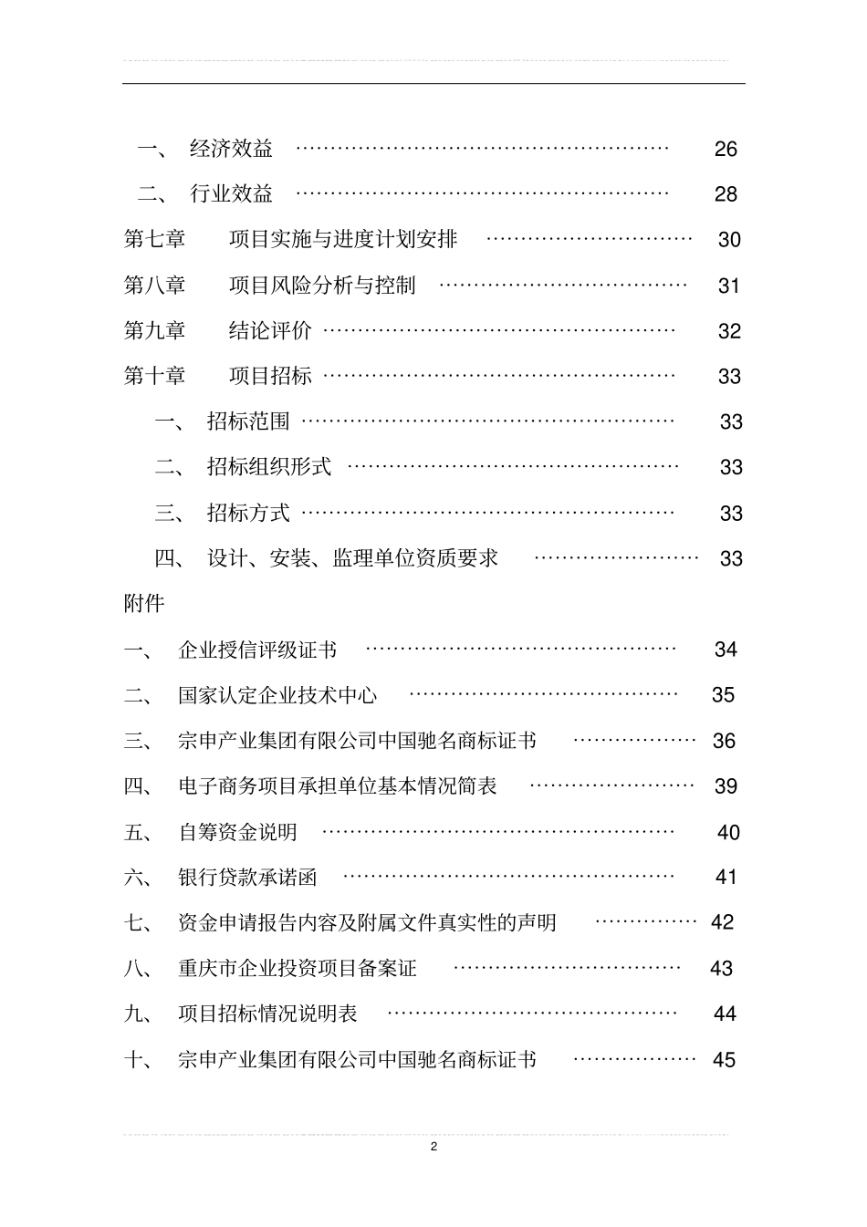 集团信息化及电子商务项目资金申报报告_第2页