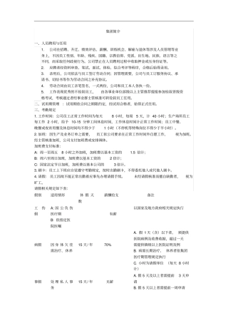 集团公司管理指引