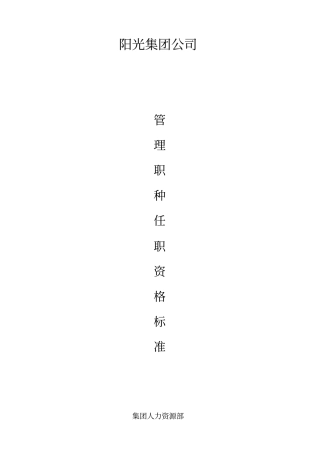 集团公司管理职种任职资格体系标准