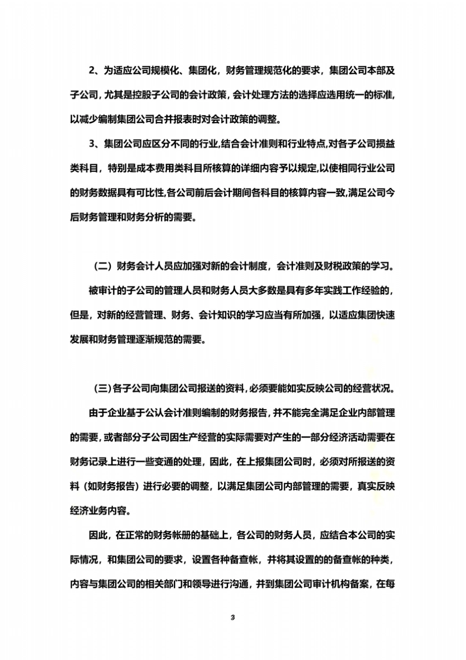 集团审计管理建议书_第3页