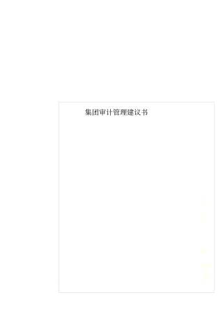 集团审计管理建议书