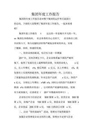集团年工作报告