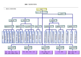 集团组织架构及职责说明