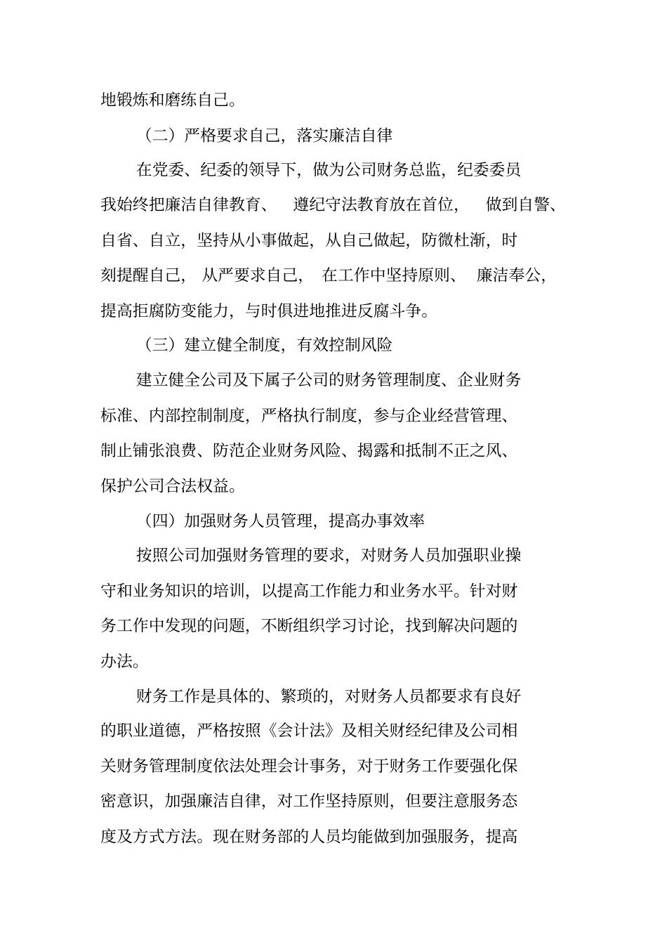 集团财务总监述职报告_第2页