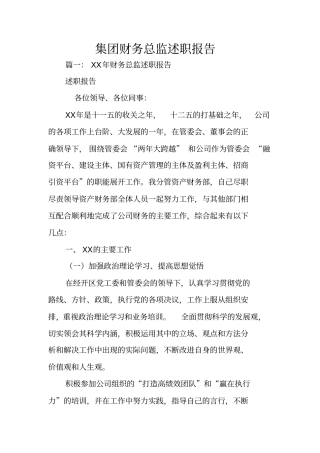集团财务总监述职报告