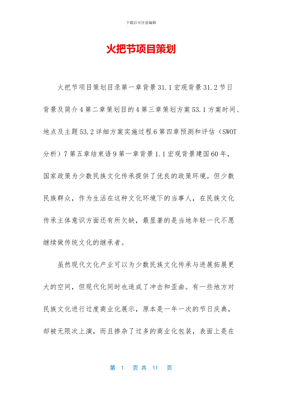 火把节项目策划_第1页