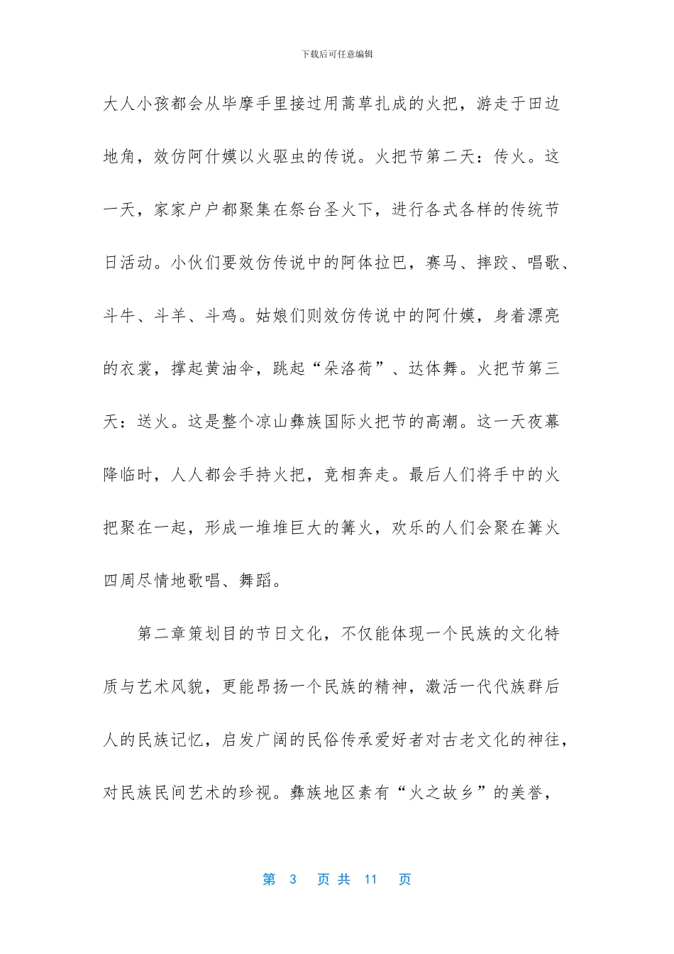 火把节项目策划_第3页