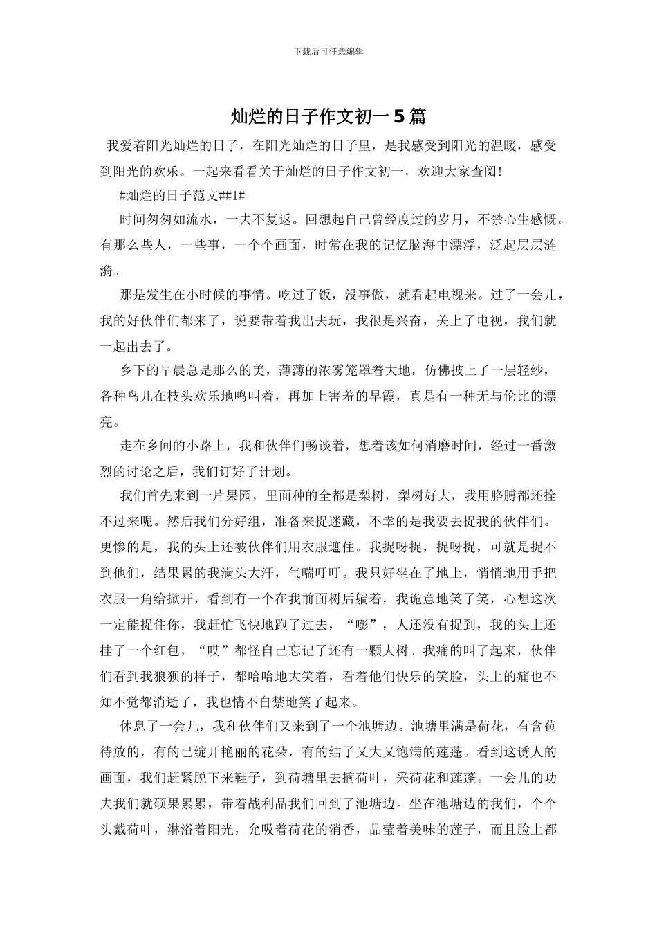 灿烂的日子作文初一5篇_第1页