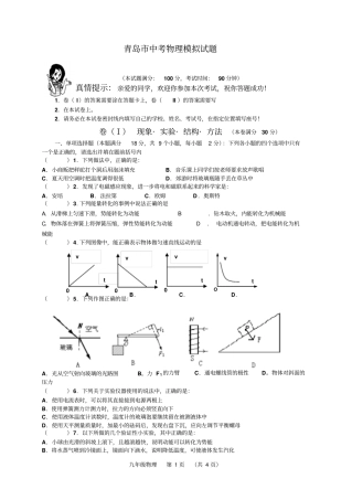 青岛中考物理模拟试题资料