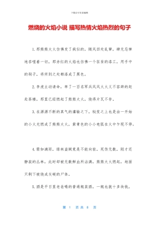 燃烧的火焰小说