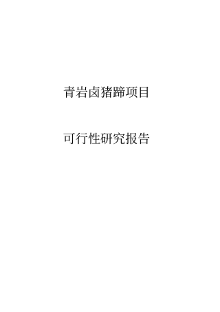 青岩卤猪蹄项目可行性研究报告