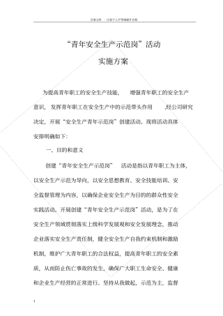 青年安全生产示范岗活动实施方案