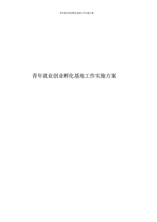 青年就业创业孵化基地工作实施方案