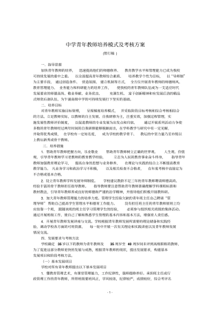 青年教师培养与