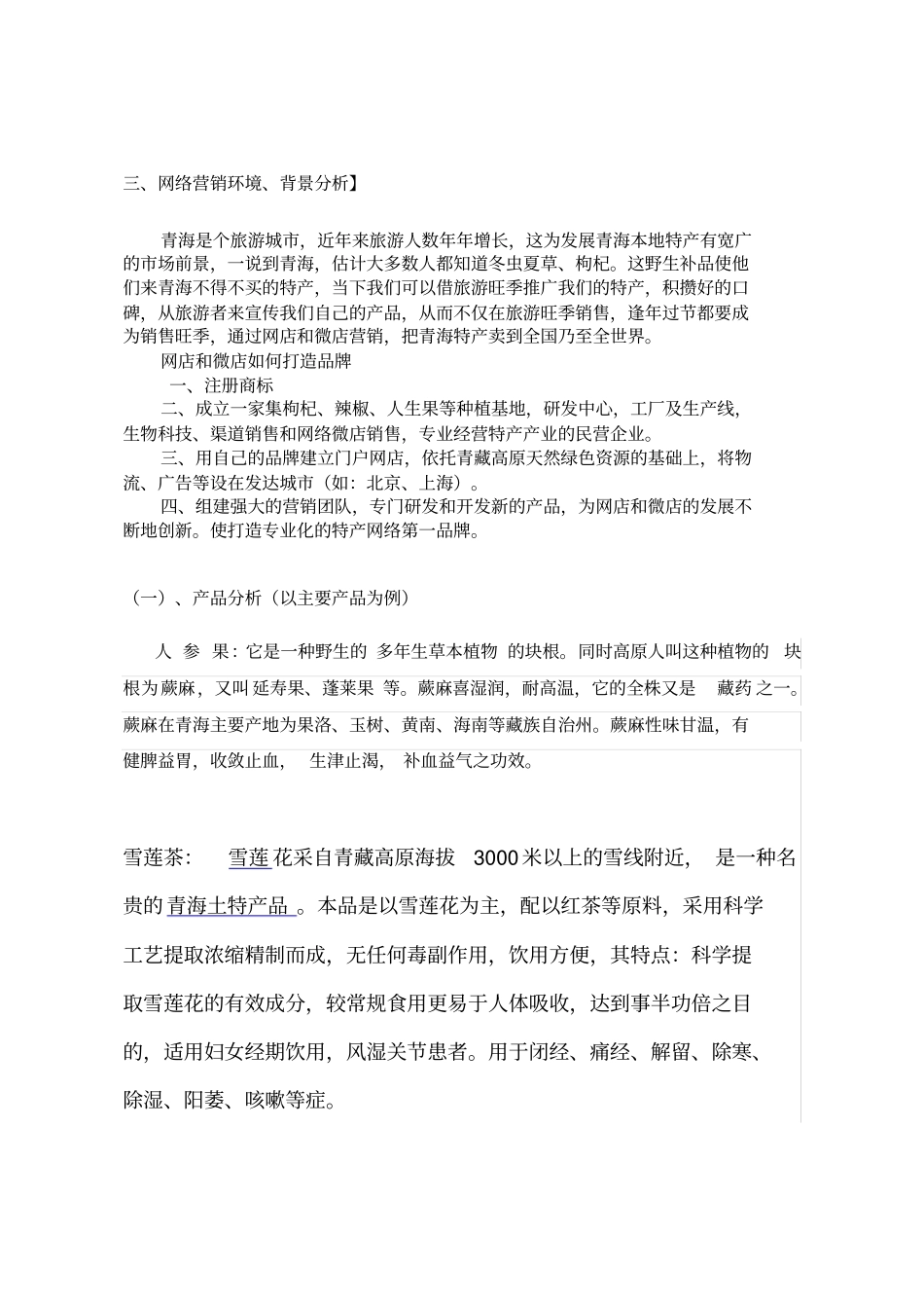 青藏高原特产店网络营销方案_第3页