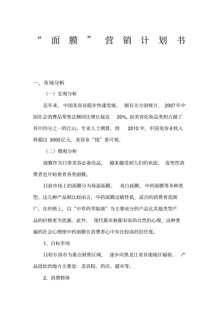 面膜营销计划书