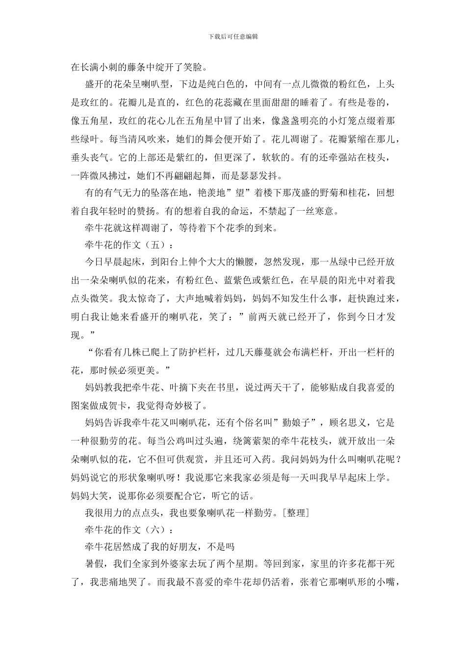 牵牛花的作文30篇_第3页