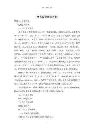 环县投资计划方案