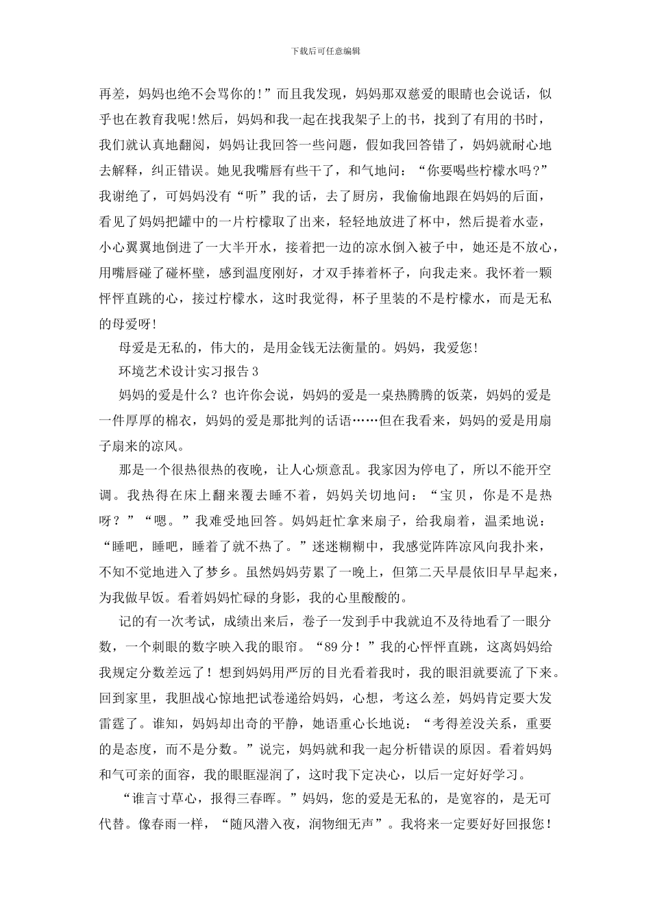 环境艺术设计实习报告_第2页