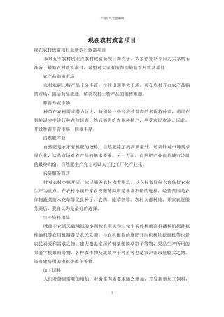 现在农村致富项目