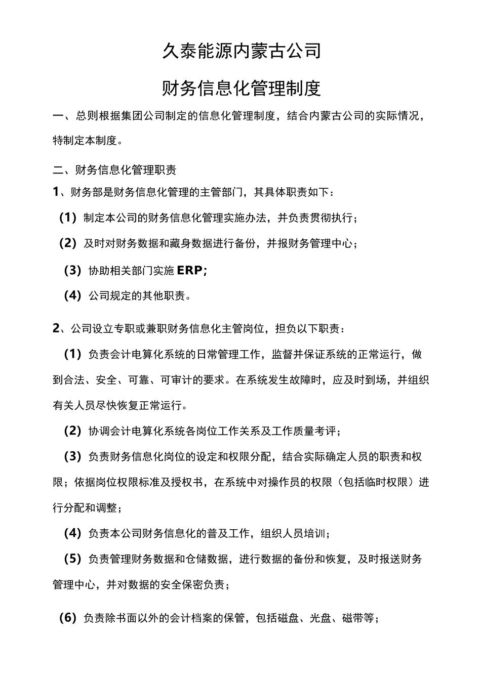 财务信息化管理制度_第1页
