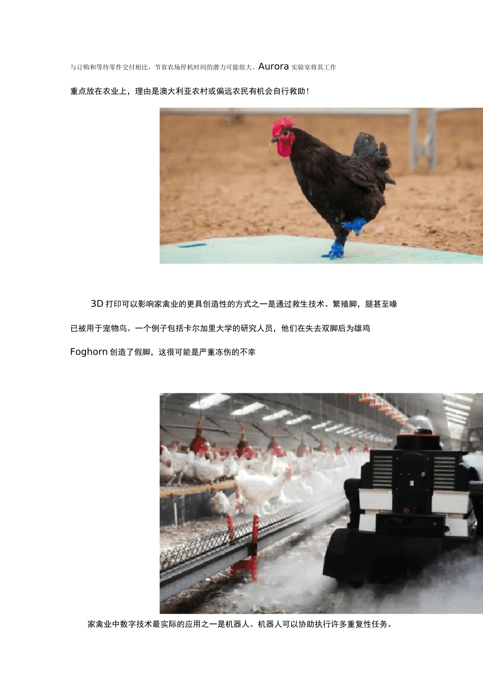 现代实用养鸡技术大全_第2页