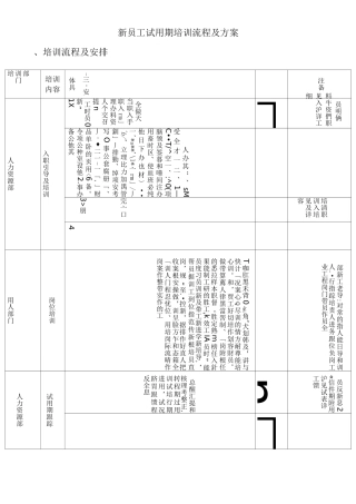 新员工试用期培训流程及方案(优选.)