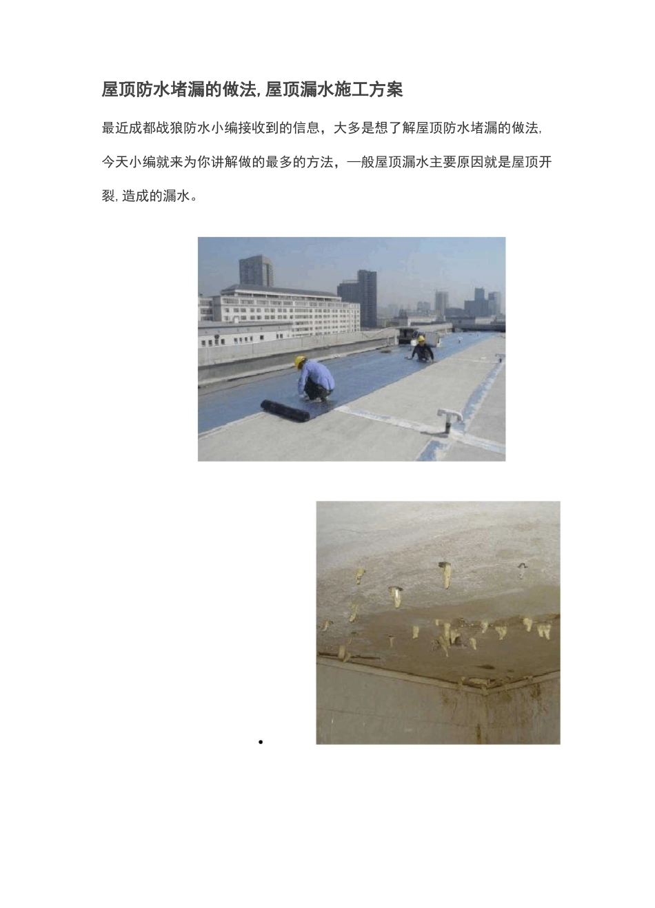 屋顶防水堵漏的做法_第1页