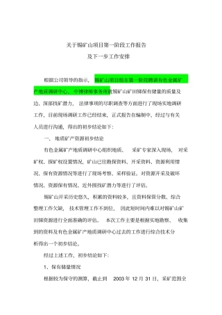 项目中期报告