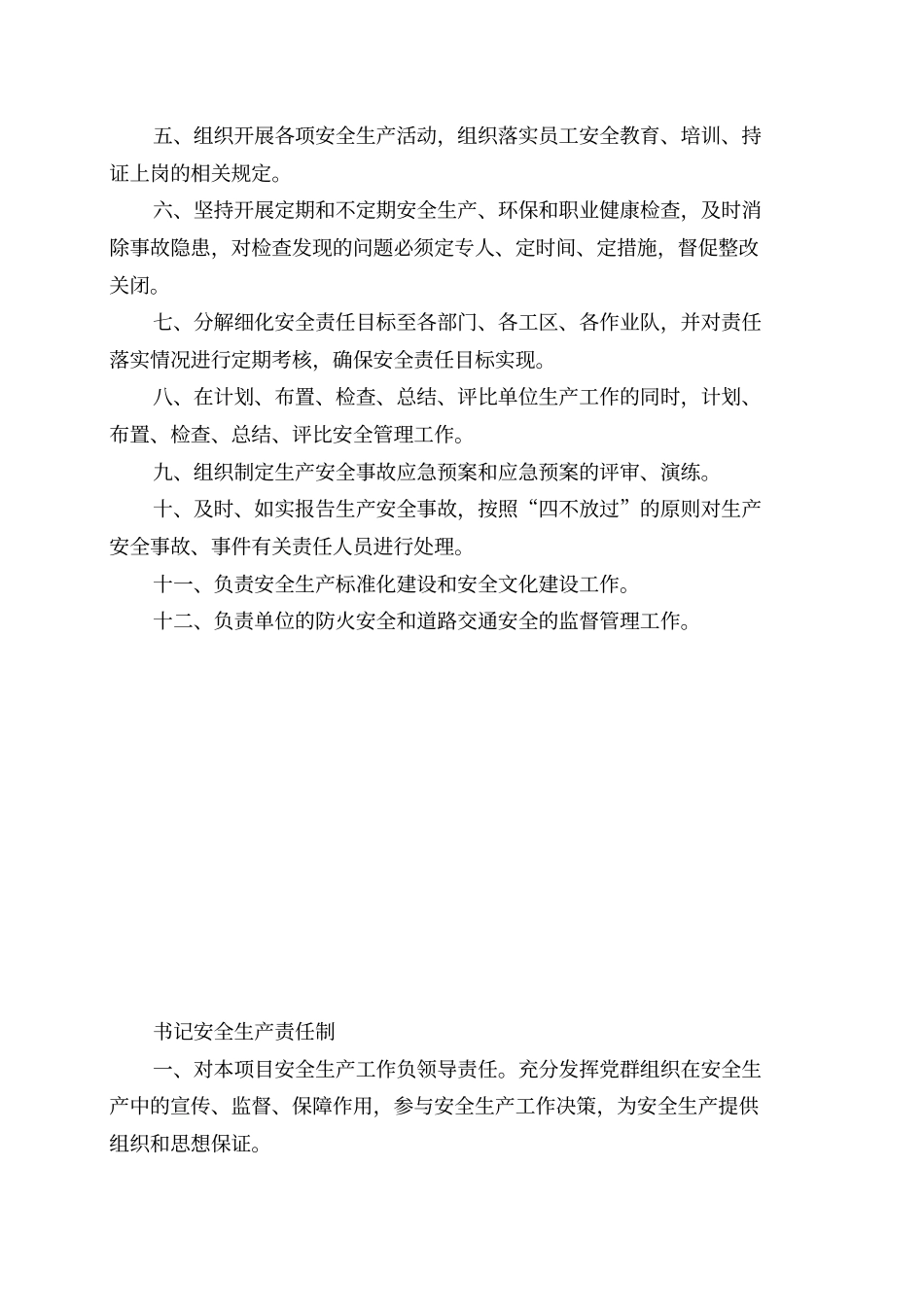 项目主要岗位安全生产责任制汇编_第3页