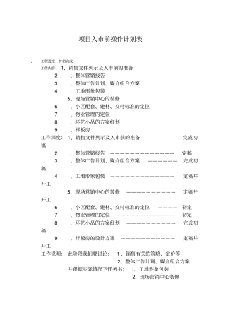 项目入前操作计划表