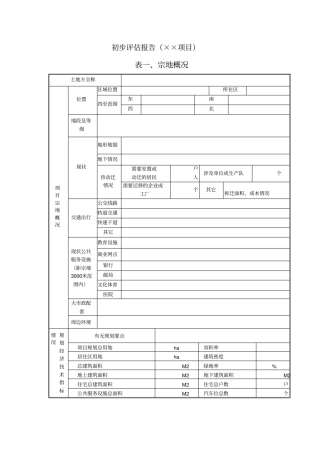 项目初步评价报告模版
